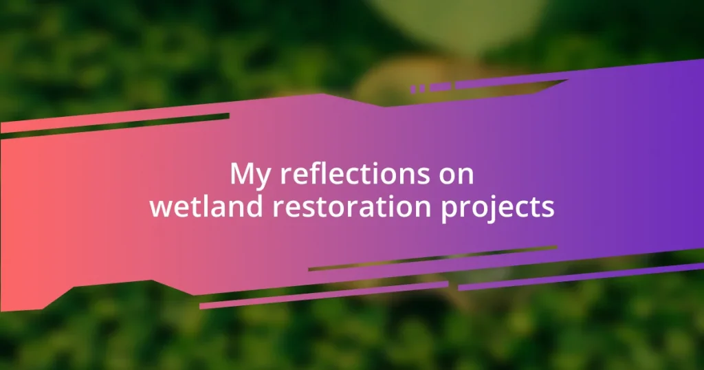 My reflections on wetland restoration projects