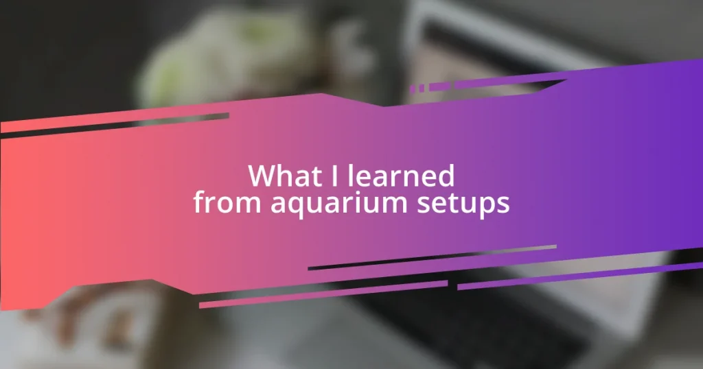 What I learned from aquarium setups