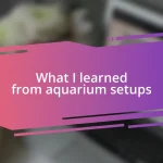 What I learned from aquarium setups