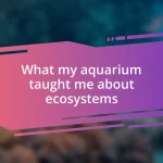 What my aquarium taught me about ecosystems